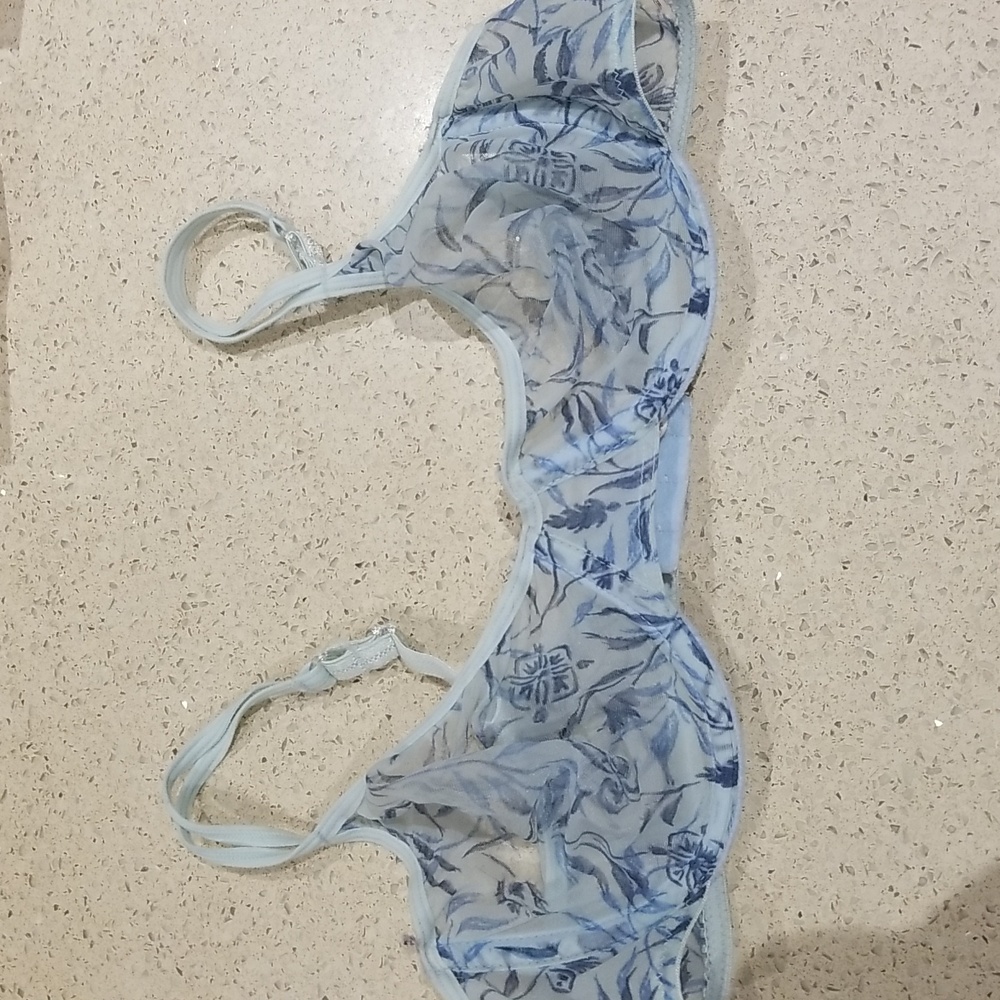 Vie sheer shades of blue underwire bra EUC 36B
